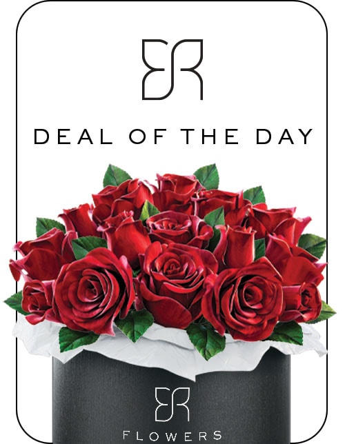 Deal of the Day - Flowers by Renee